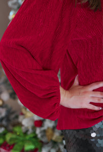 Marilee Pleated Velvet Top