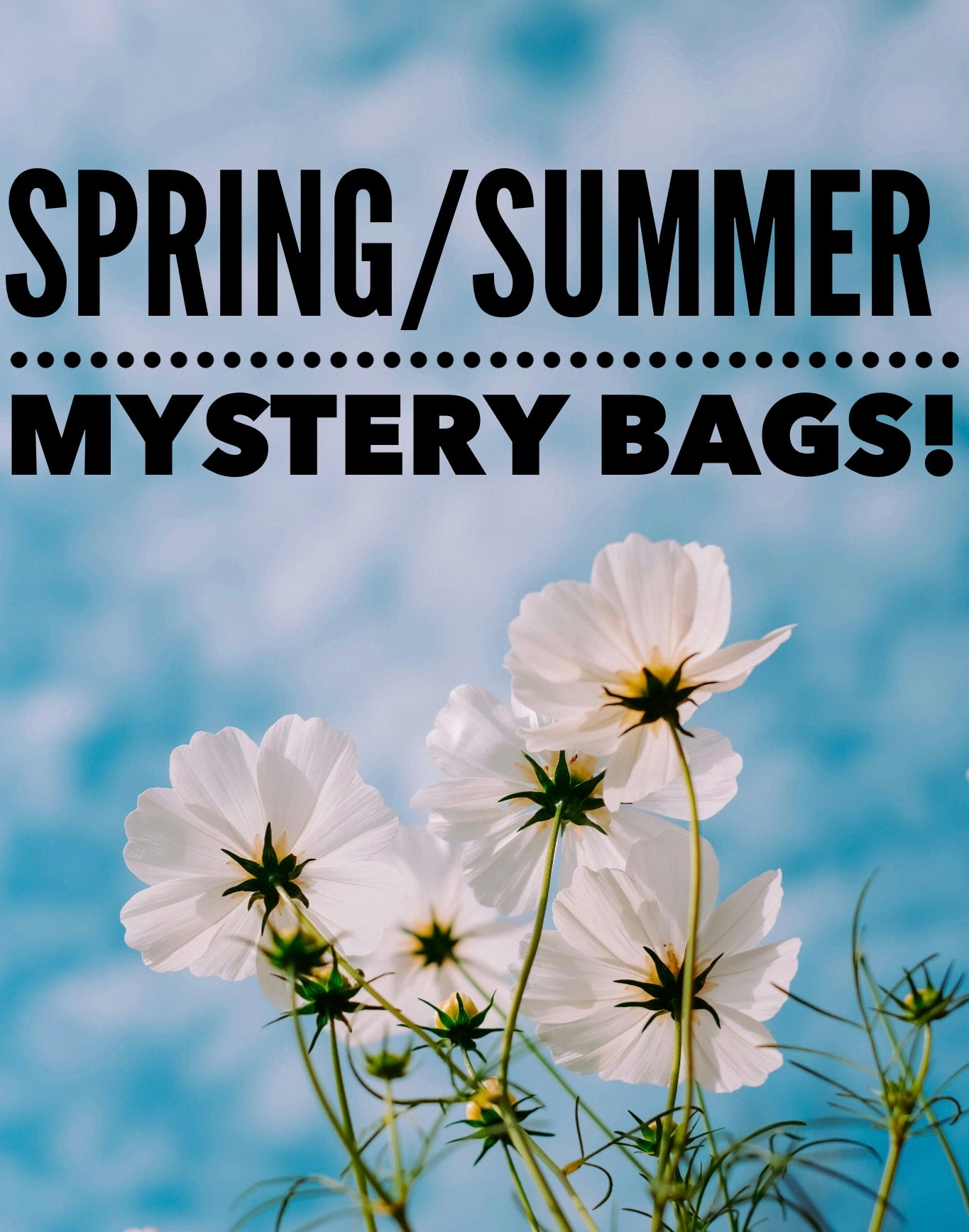 Curvy Birdy Spring/Summer Mystery Bags! FINAL SALE