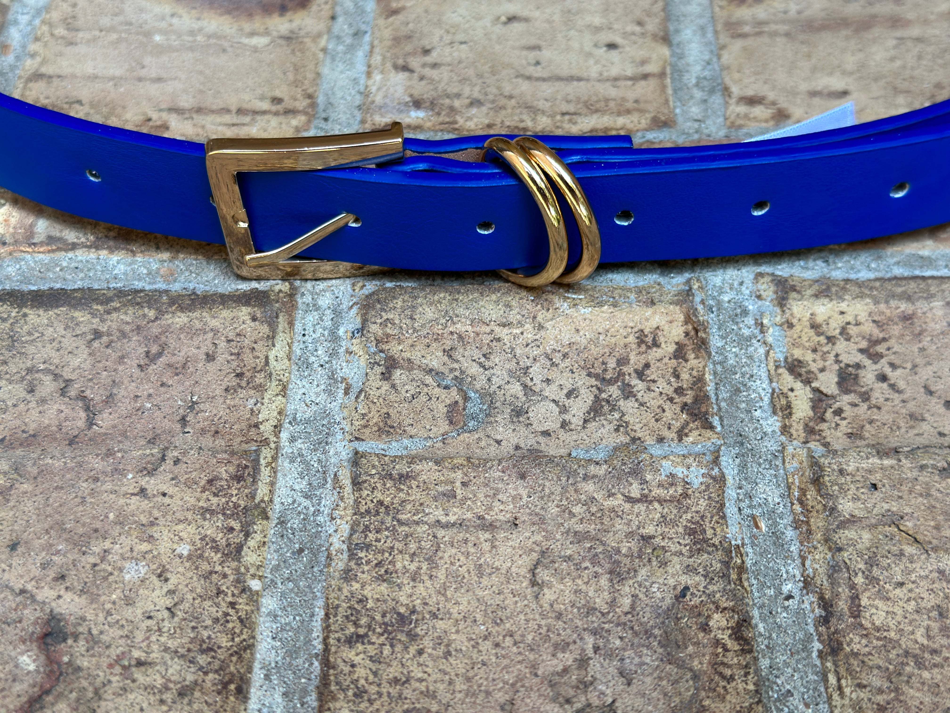 Devan Belt in Blue