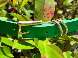 Devan Belt in Green