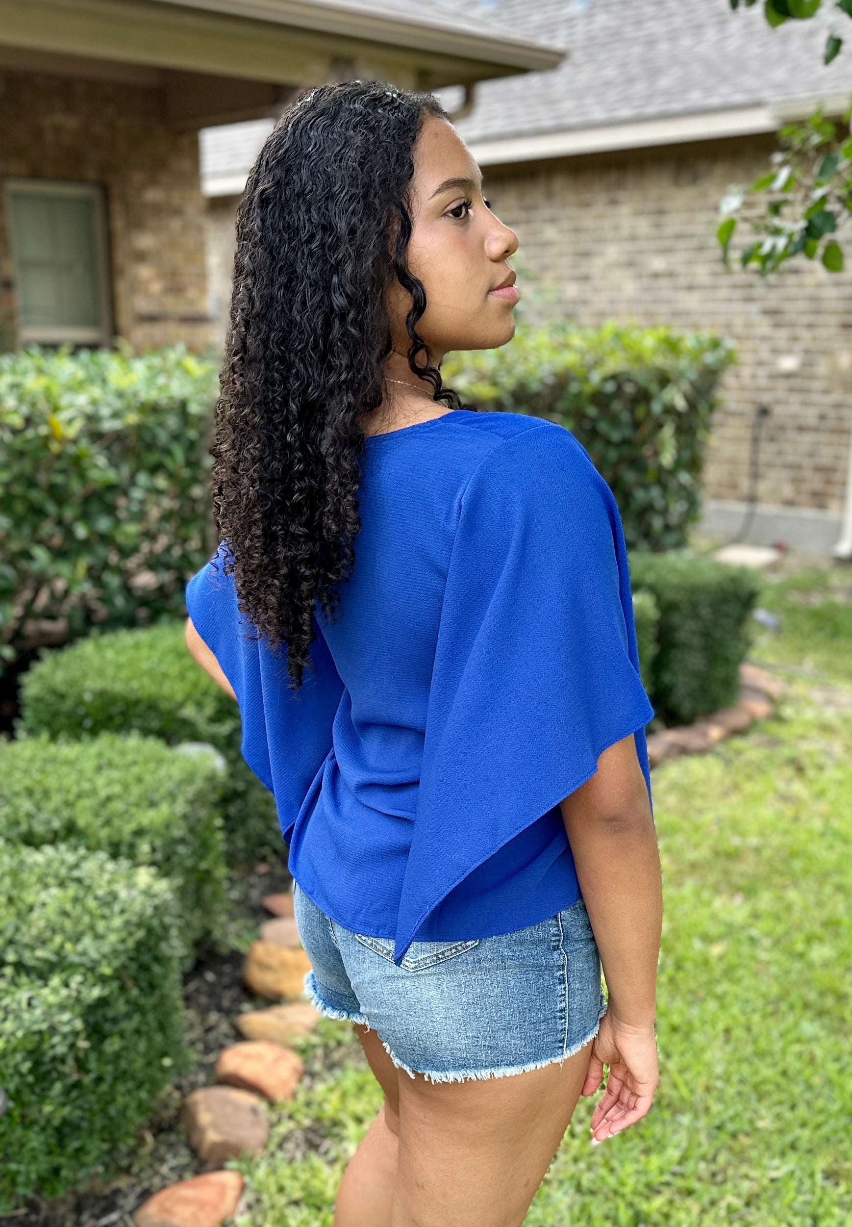 Stephanie Flutter Sleeve Top in Blue