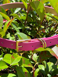 Devan Belt in Pink